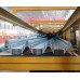 Профнастил оцинкованный Н126-978-1.2 цена за пог.м