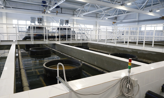 Фильтровальная станция